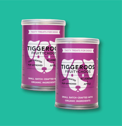 Blueberry + Apple Fruitychoos Duo - 2 Pack